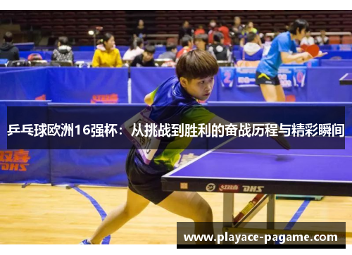 乒乓球欧洲16强杯：从挑战到胜利的奋战历程与精彩瞬间