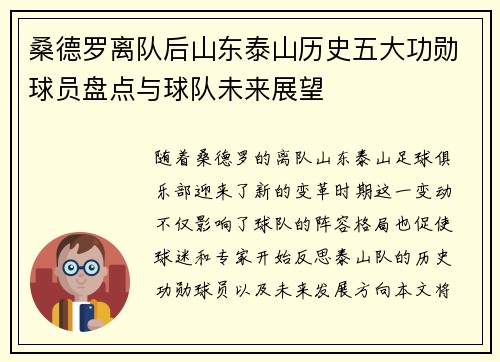 桑德罗离队后山东泰山历史五大功勋球员盘点与球队未来展望