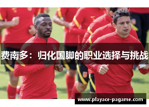 费南多：归化国脚的职业选择与挑战